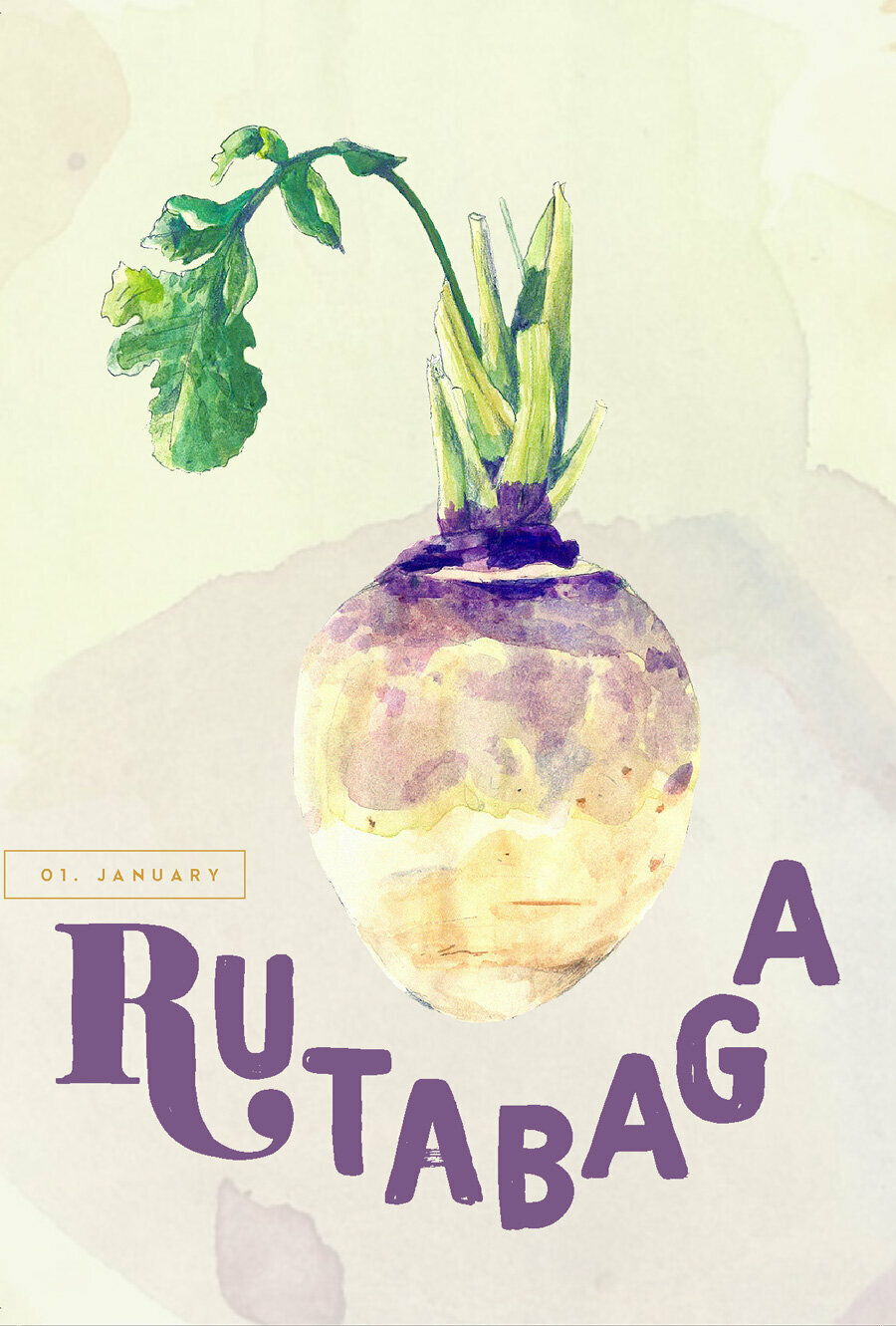 January Café Festival: Rutabaga (With a Recipe)