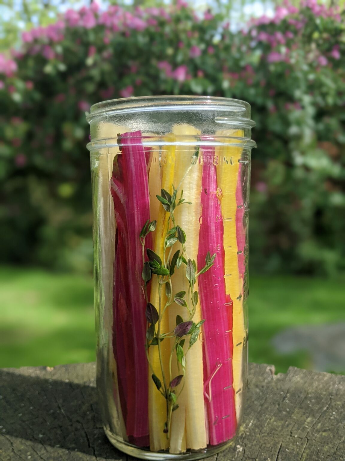 A Recipe for Sustainability: Pickled Swiss Chard Stems - Great Performances