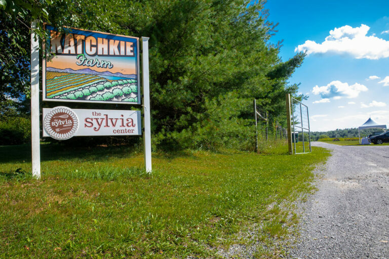 A Garden, By Design