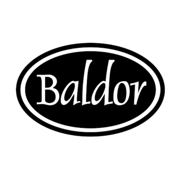 Logo of Baldor-Logo partner