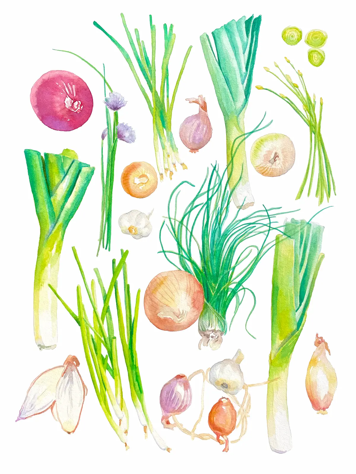 April Food Festival: Garlic and Onion Dip