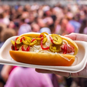 Classic hot dog, a concession favorite at large scale events in New York City