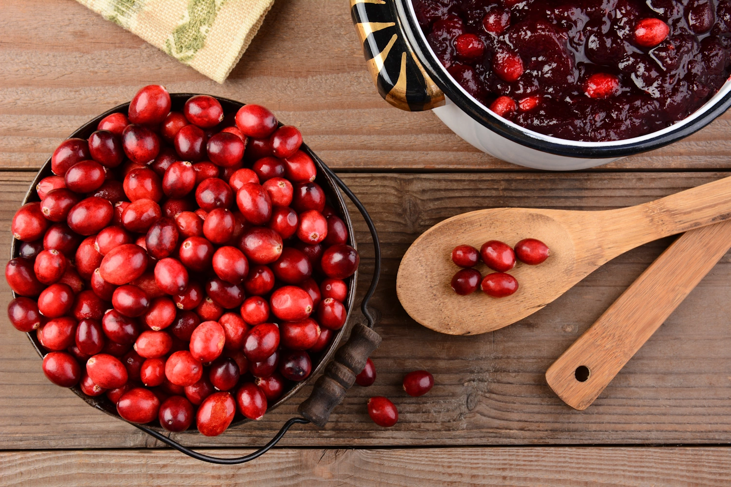 Auntie Nadia's Cranberry Chutney Recipe