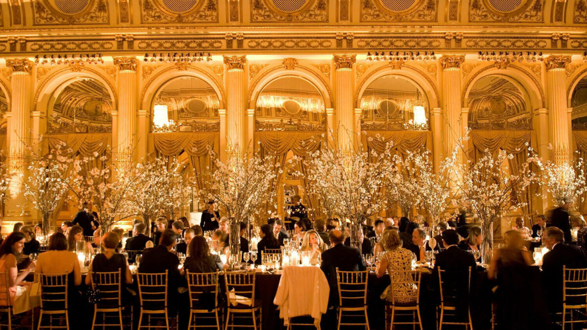 Our Cultural Partners highlight image