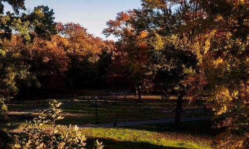 Pelham-Bay-Park_Bronx_fall-foliage