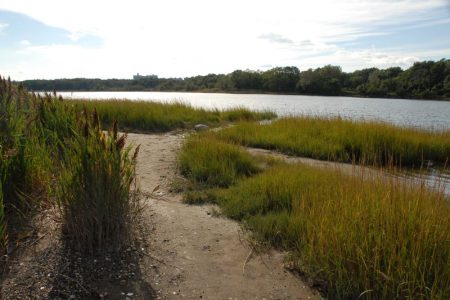 Pelham-Bay-Park_Bronx_river-foliage