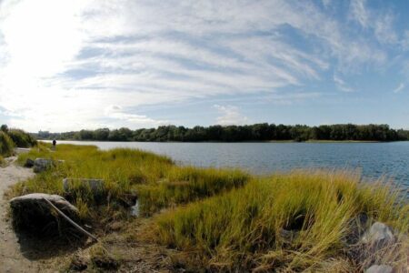 PelhamBayPark_weather